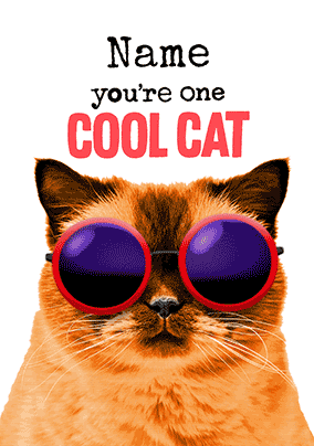Happy Birthday Cool Cat 3D Card