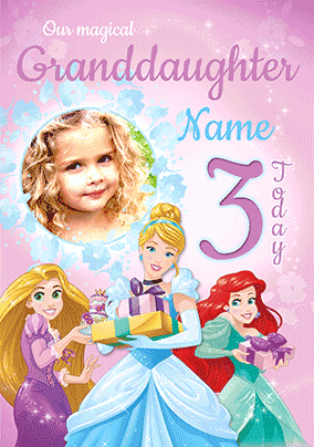 Disney Princess Granddaughter Birthday 3D Card