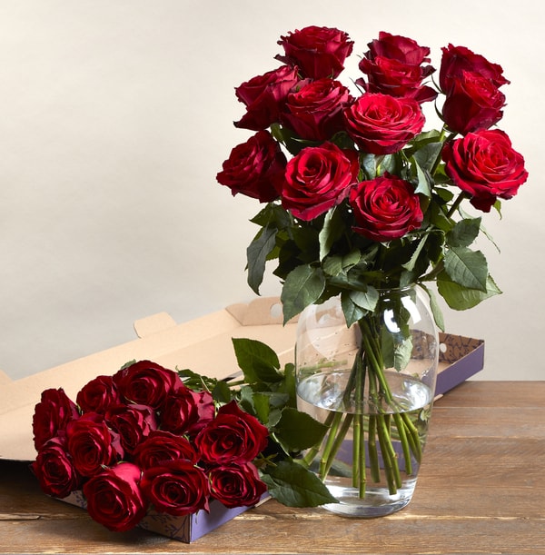 The Letterbox Valentines Dozen Red Roses - 24.99