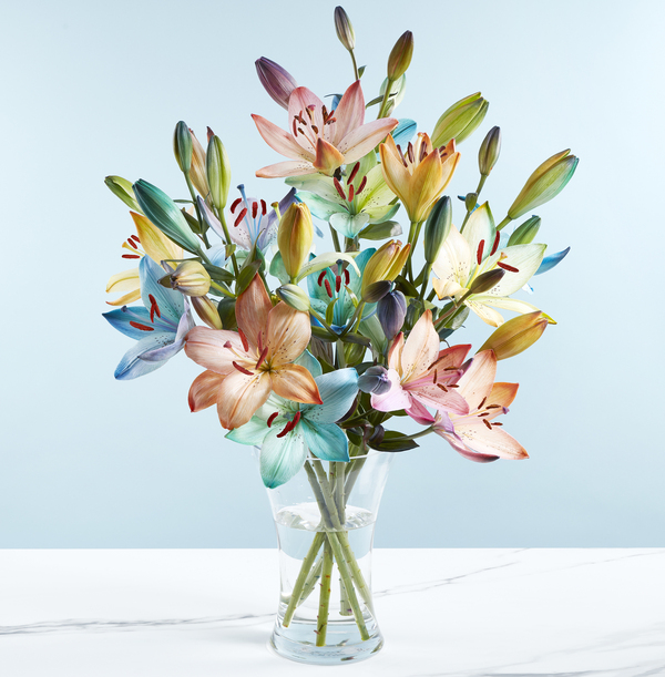 The Rainbow Lilies Bouquet Funky Pigeon