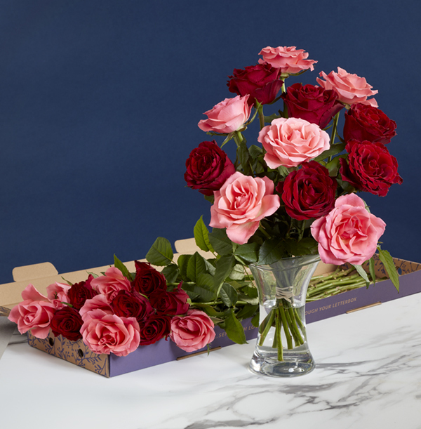 The Letterbox Dozen Red And Pink Roses   - £22.99