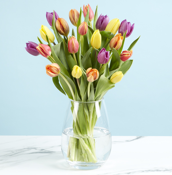 Spring Tulip Trio Bouquet