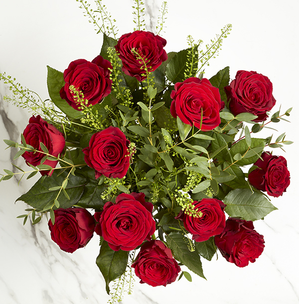 The Dozen Red Rose Gift Set