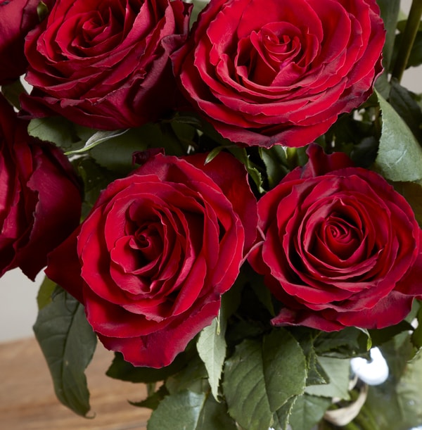 The Letterbox Valentines Dozen Red Roses - 24.99