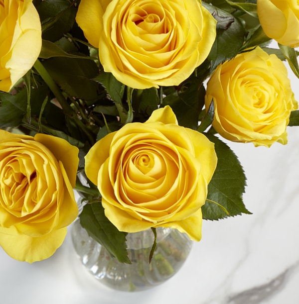The Letterbox Friendship Dozen Yellow Roses - £21.99