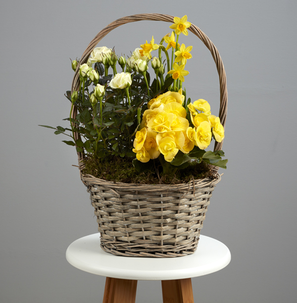 Spring Luxury Basket