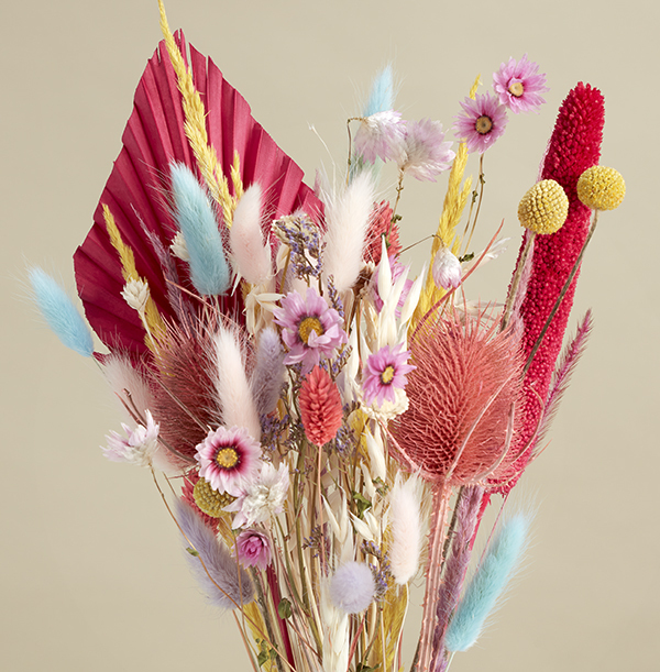 The Colour Popping Dried Flower Bouquet