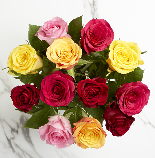 The Letterbox Mixed Roses - £21.99