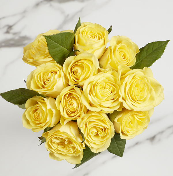 The Letterbox Friendship Yellow Roses