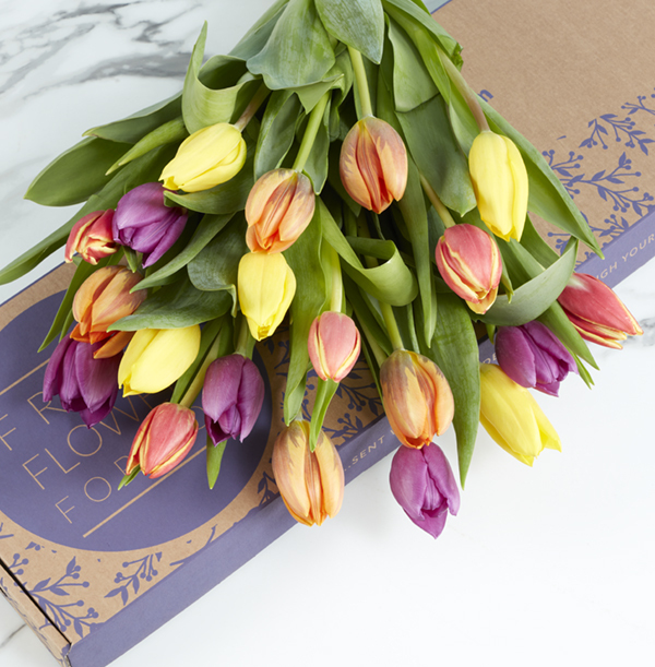 The Letterbox Mixed Tulips