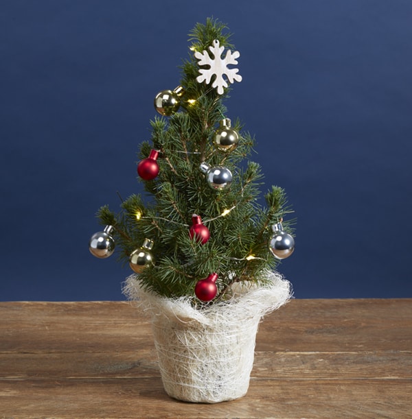 The Letterbox Christmas Tree - £19.99