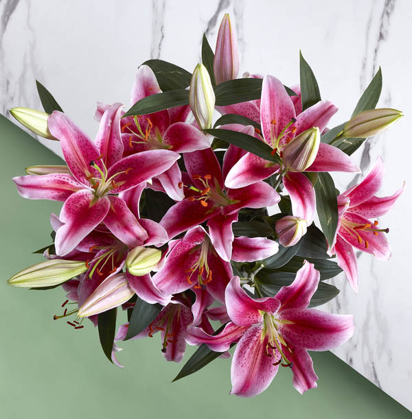 The Simply Lilies Pink Bouquet - £25.99