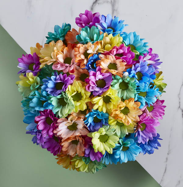 The Rainbow Chrysanthemums Bouquet - £19.99