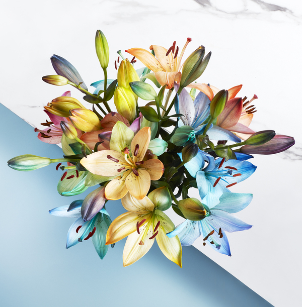The Rainbow Lilies Bouquet - £26.99