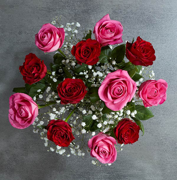 Red & Pink Rose Bouquet with Prosecco - £36.99