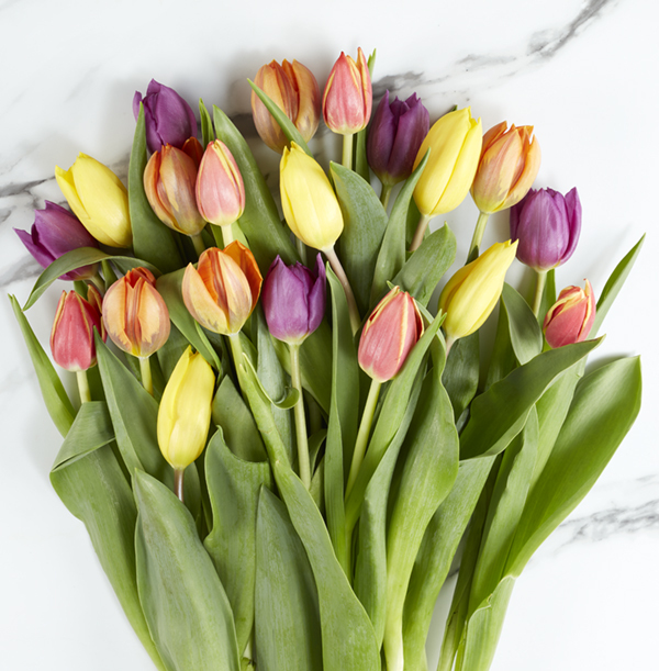Spring Tulip Trio Bouquet