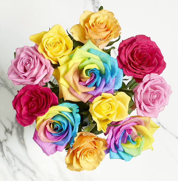 The Letterbox Valentines Rainbow Roses