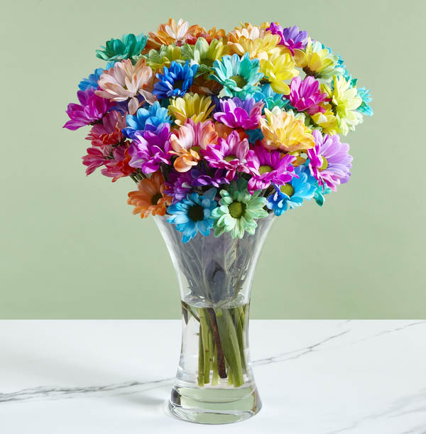 the-rainbow-chrysanthemums-bouquet-funky-pigeon