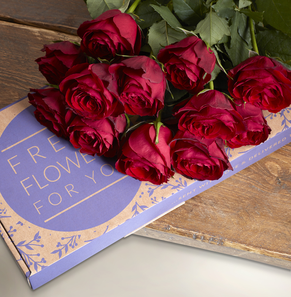 The Letterbox Dozen Red Roses Funky Pigeon