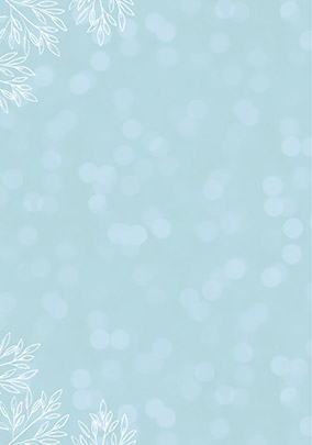 product image left