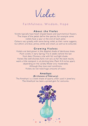product image left