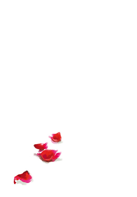 product image left