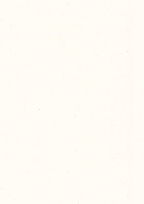 product image left