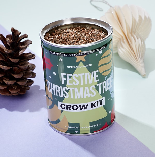 Christmas Tree Grow Kit Funky Pigeon