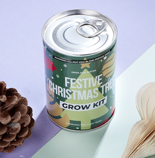 Christmas Tree Grow Kit Funky Pigeon