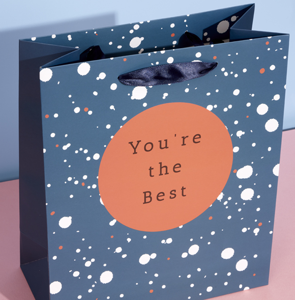 You're The Best Gift Bag Large Funky Pigeon