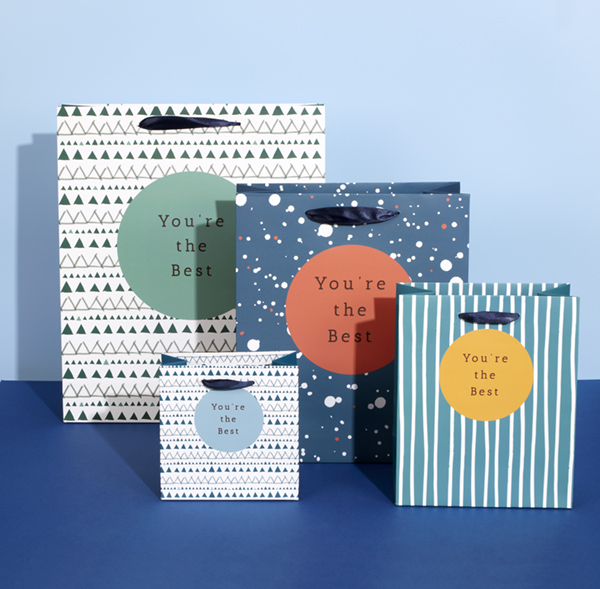 You're The Best Gift Bag Large Funky Pigeon