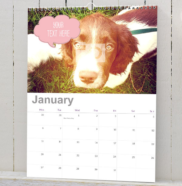 personalised dog calendar