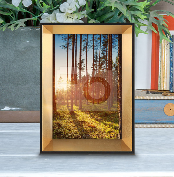 Black & Gold Photo Frame - Portrait