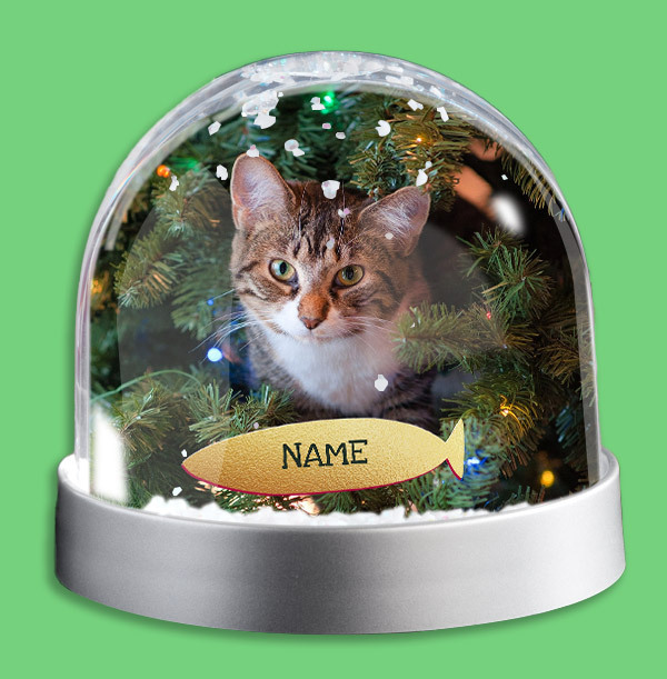 Cat Photo Upload Snow Globe Funky Pigeon