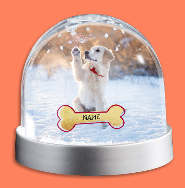 Dog Photo Upload Snow Globe | Funky Pigeon