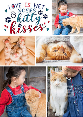 Kitty Kisses Multi Photo Large Poster